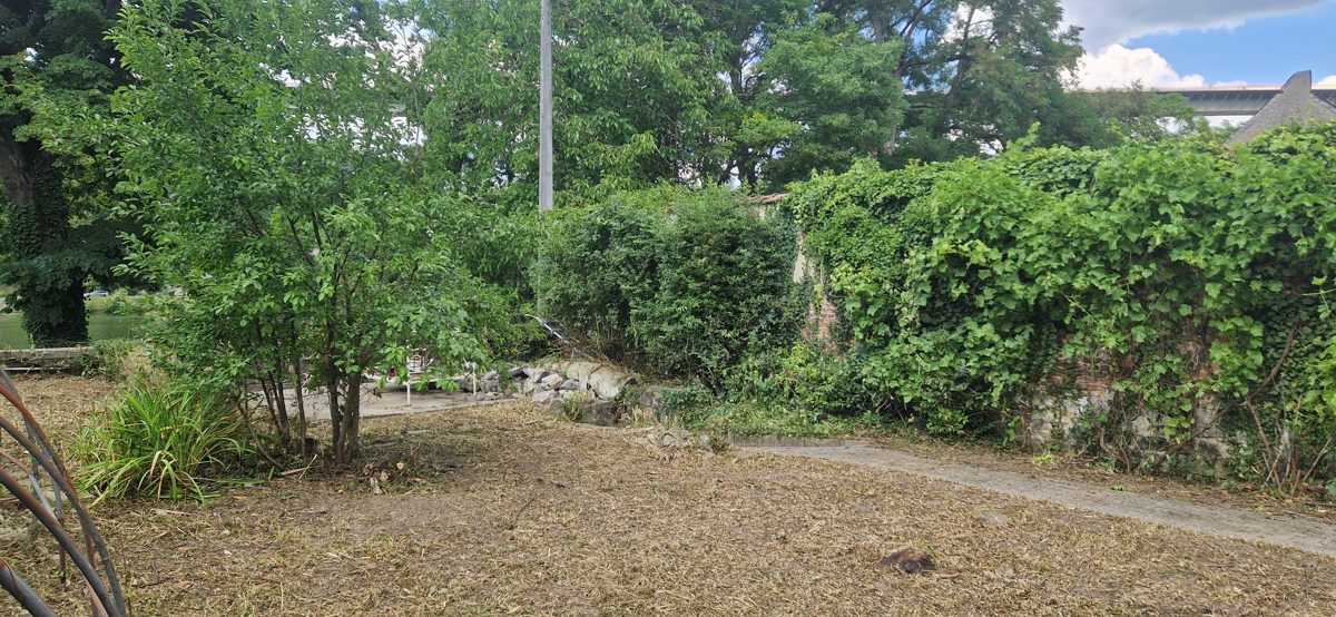 Jardin dégagé après intervention